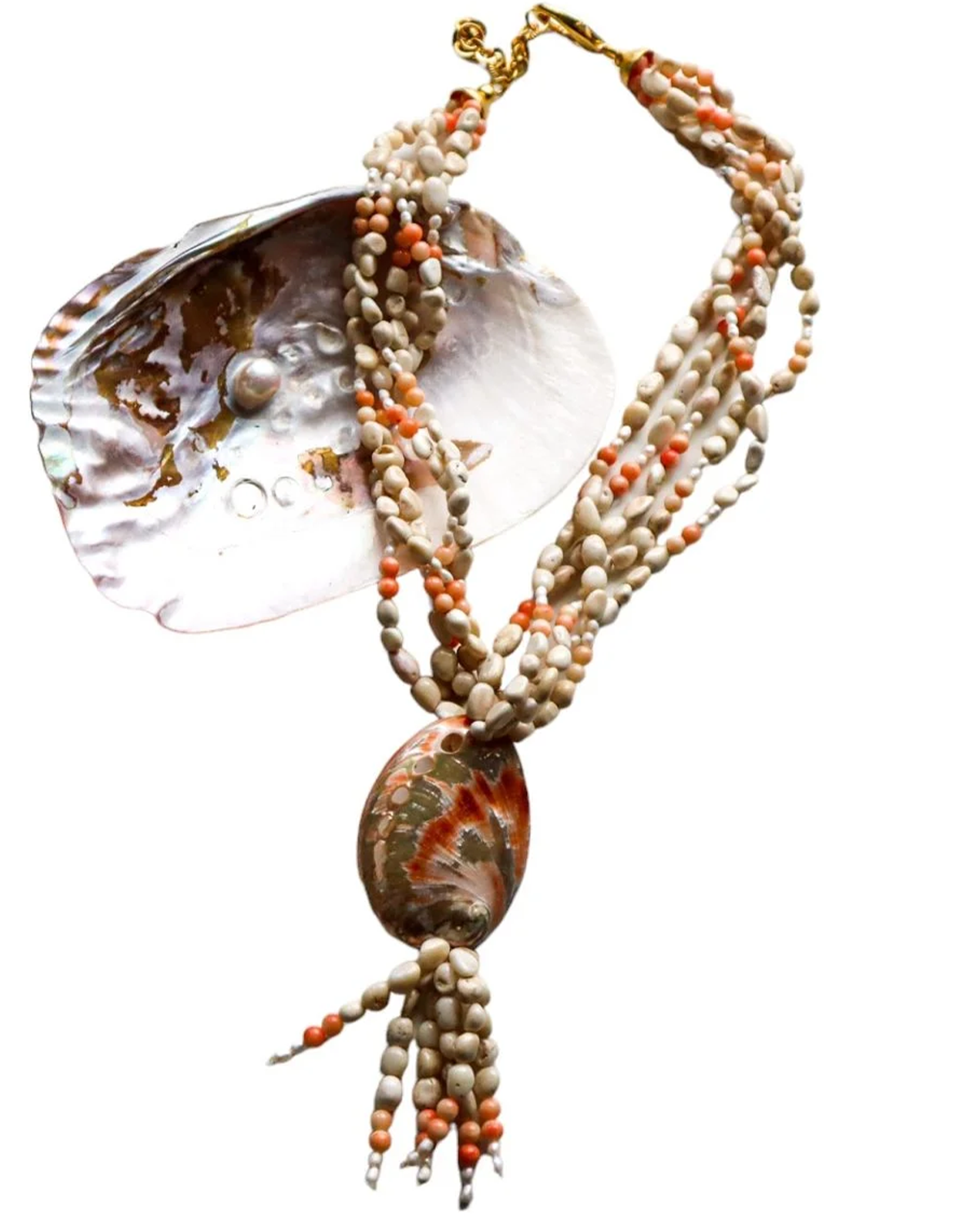 Y-OTANTİK DENİZ KABUKLU MERCAN KOLYE