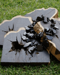 Y-VOLKA STATEMENT KOLYE