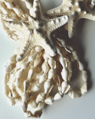 Y-PELAGIA ÜÇ DENİZ YILDIZILI KOLYE