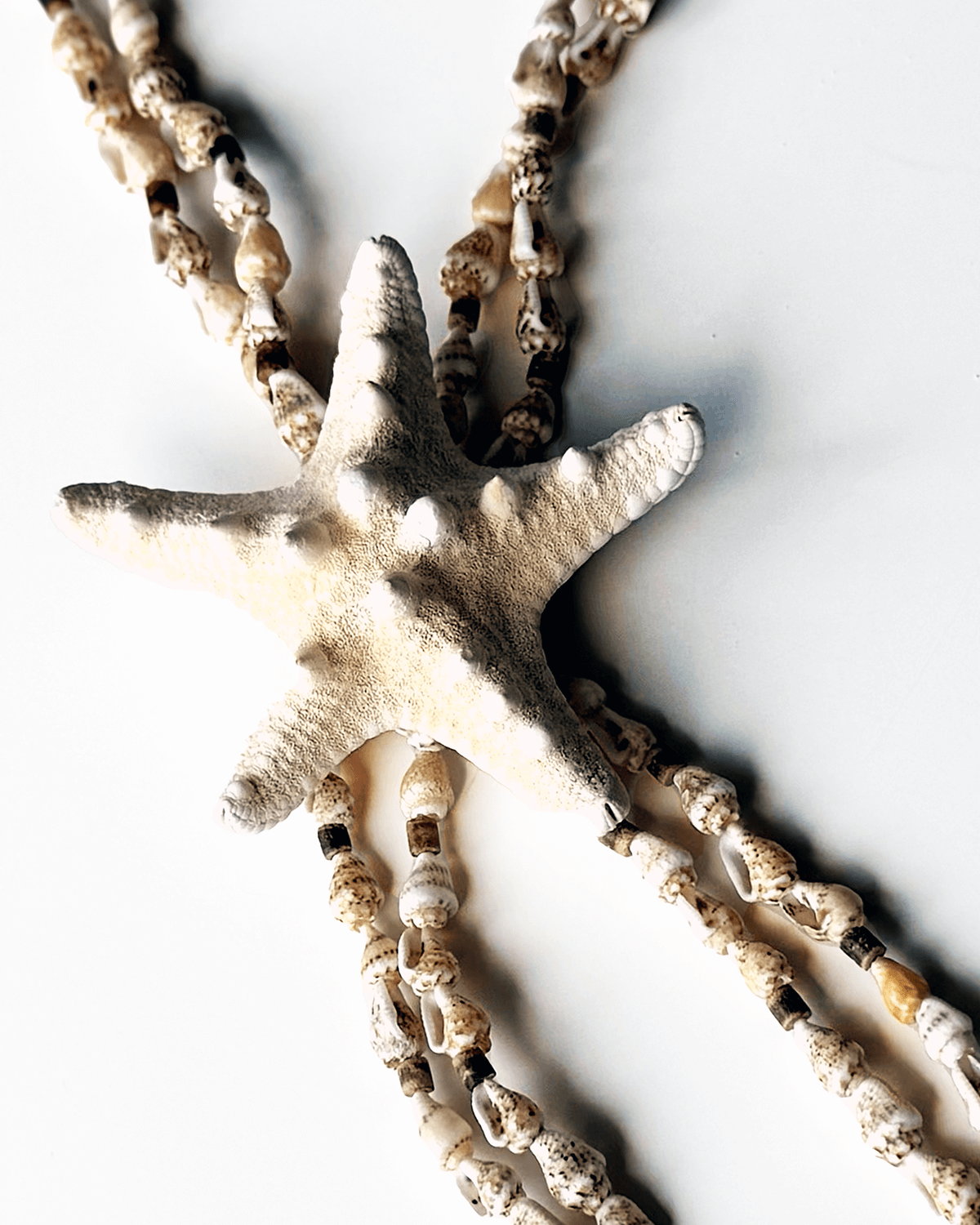 Y-PELAGIA  ORGANİK DENİZ YILDIZI VE DENİZ KABUKLU KOLYE