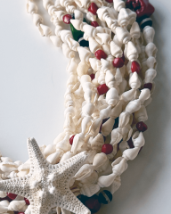 Y-APHRODITE’S SHELL MERCAN VE DENİZ KABUKLU KOLYE