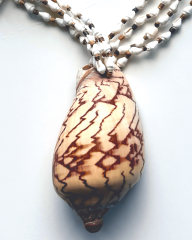 Y-SIRENULA DENİZ KABUKLU KOLYE