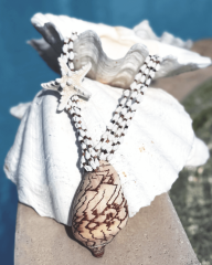 Y-SIRENULA DENİZ KABUKLU KOLYE