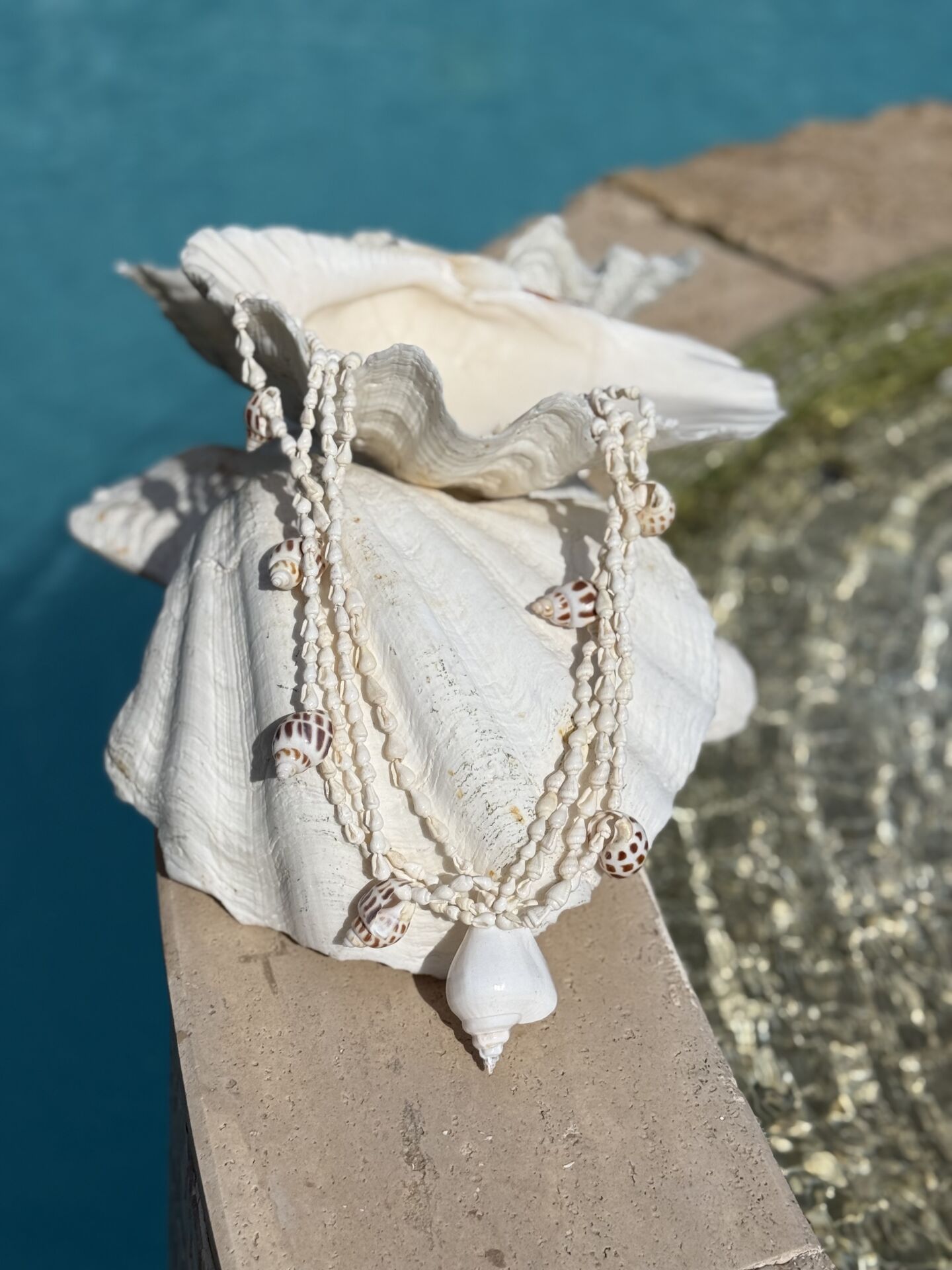APHRODITE’S BOHO SHELL KOLYE