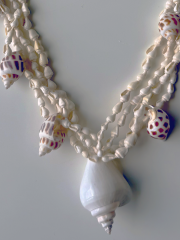 APHRODITE’S BOHO SHELL KOLYE