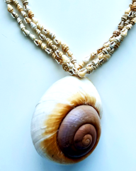 Y-DENİZ KABUKLU KISA KOLYE