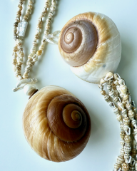 Y-DENİZ KABUKLU KISA KOLYE