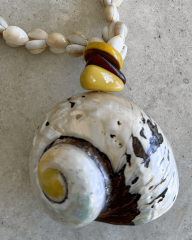NAUTILUS VE COWRIE DOĞAL DENİZ KABUKLU KOLYE