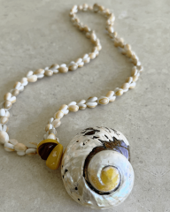 NAUTILUS VE COWRIE DOĞAL DENİZ KABUKLU KOLYE