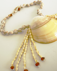 COCKLE SHELL KOLYE