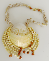 COCKLE SHELL KOLYE