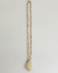 VOLUTE SHELL KOLYE