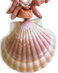 ZENDAYA SCALLOP DENİZ KABUĞU KOLYE